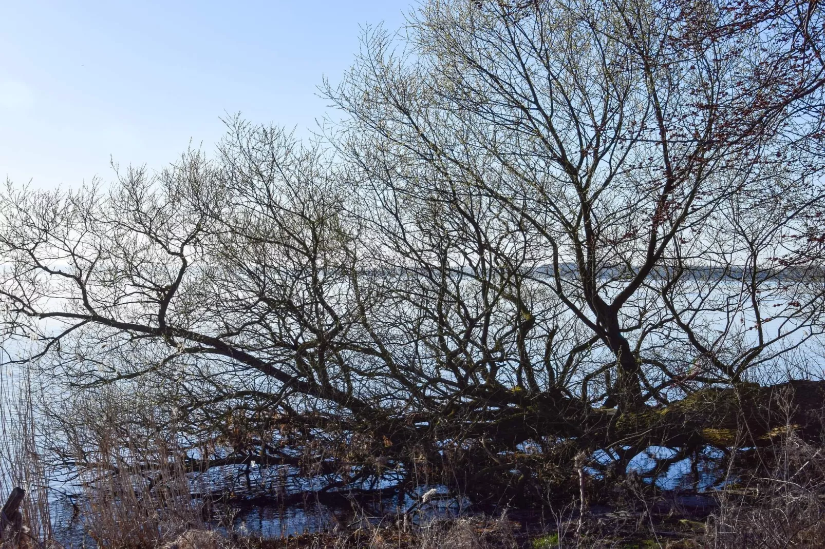 6 persoons vakantie huis in Kirke Hyllinge-Waterzicht