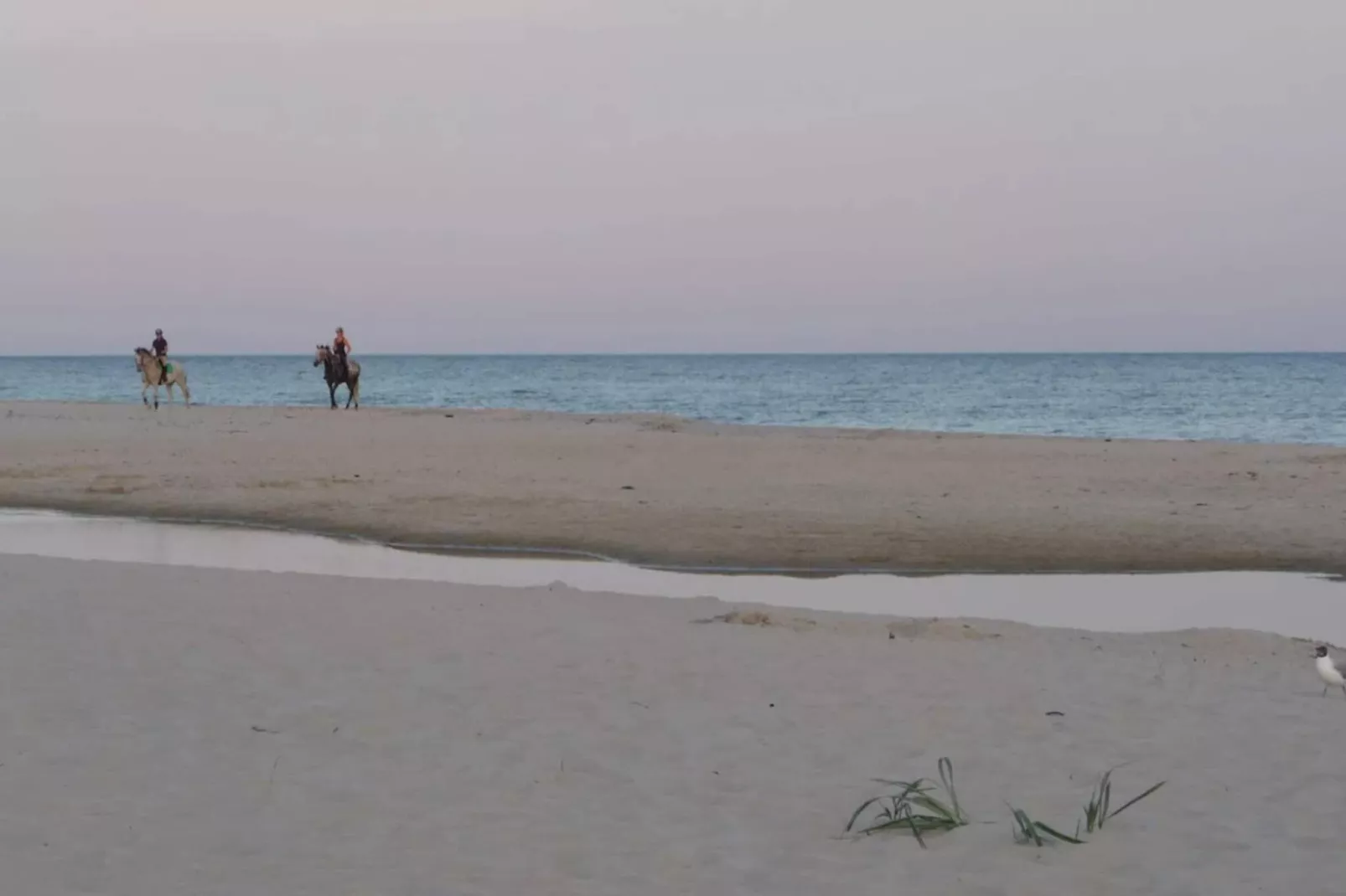 6 persoons vakantie huis in Löderup-By Traum-Waterzicht