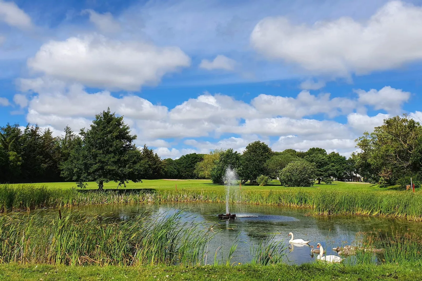 Rustiek huisje met open haard-Waterzicht