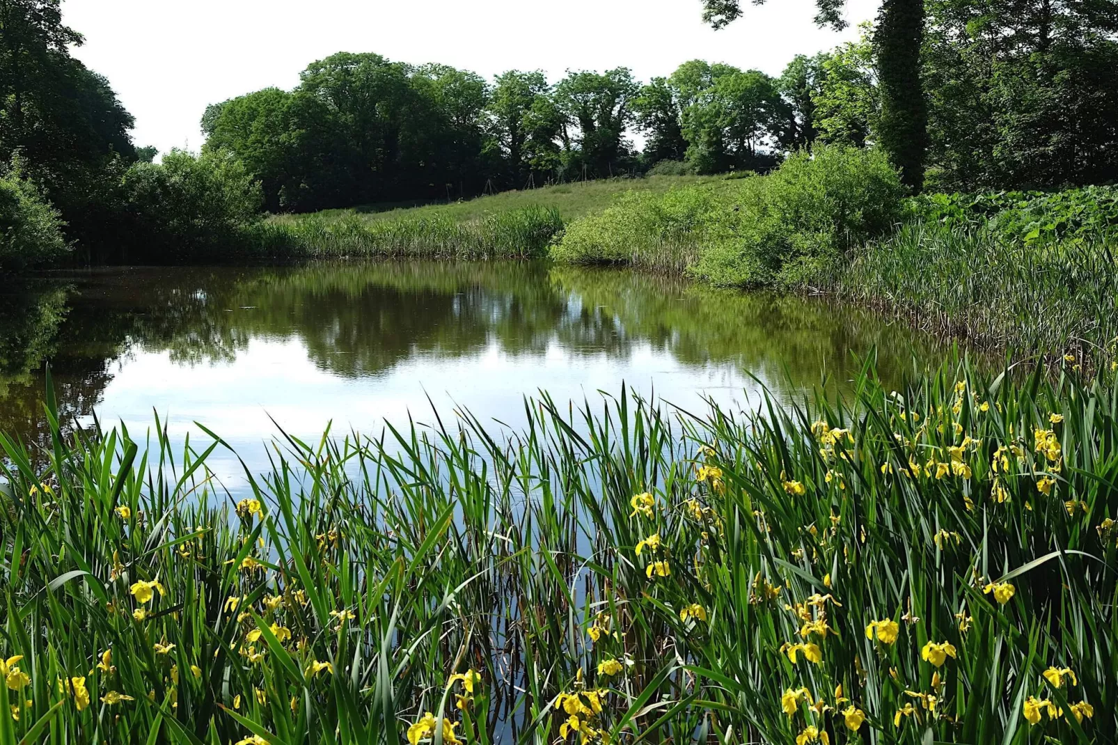 6 persoons vakantie huis in Højslev-By Traum-Waterzicht