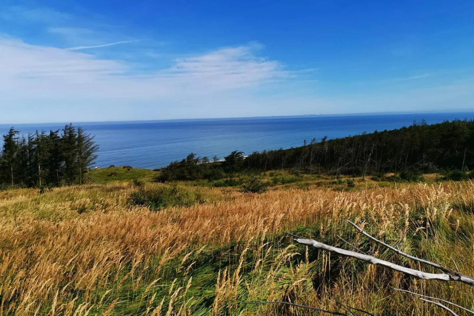 Gezellig strandverblijf -- By Traum Ferienwohnungen-Waterzicht