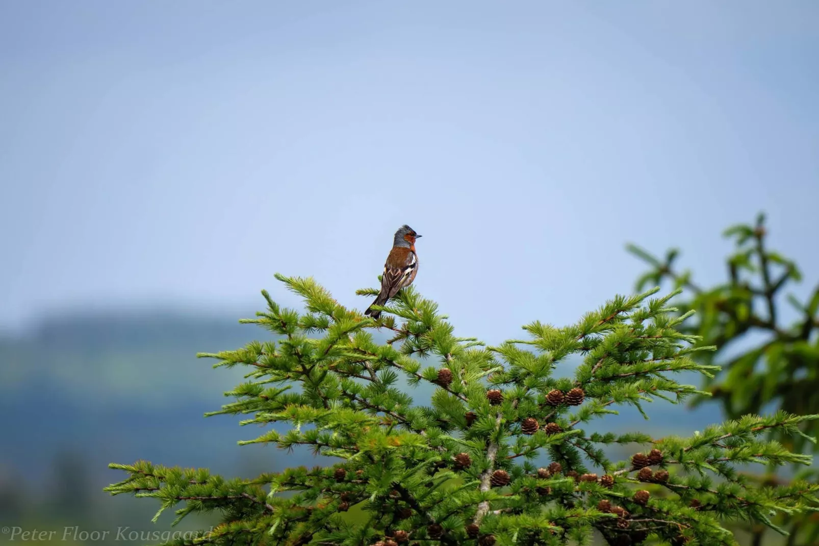 6 persoons vakantie huis in Hovborg-By Traum-Niet-getagd