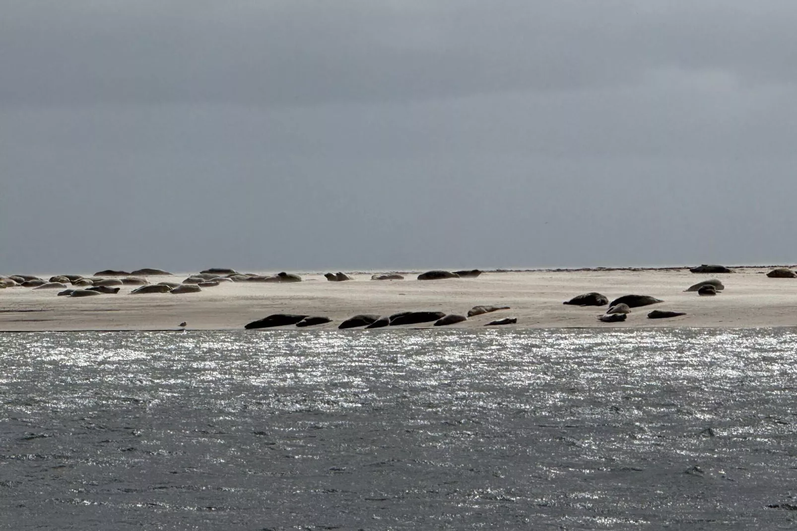 Kustcharme in Sonderho -- By Traum Ferienwohnungen-Waterzicht