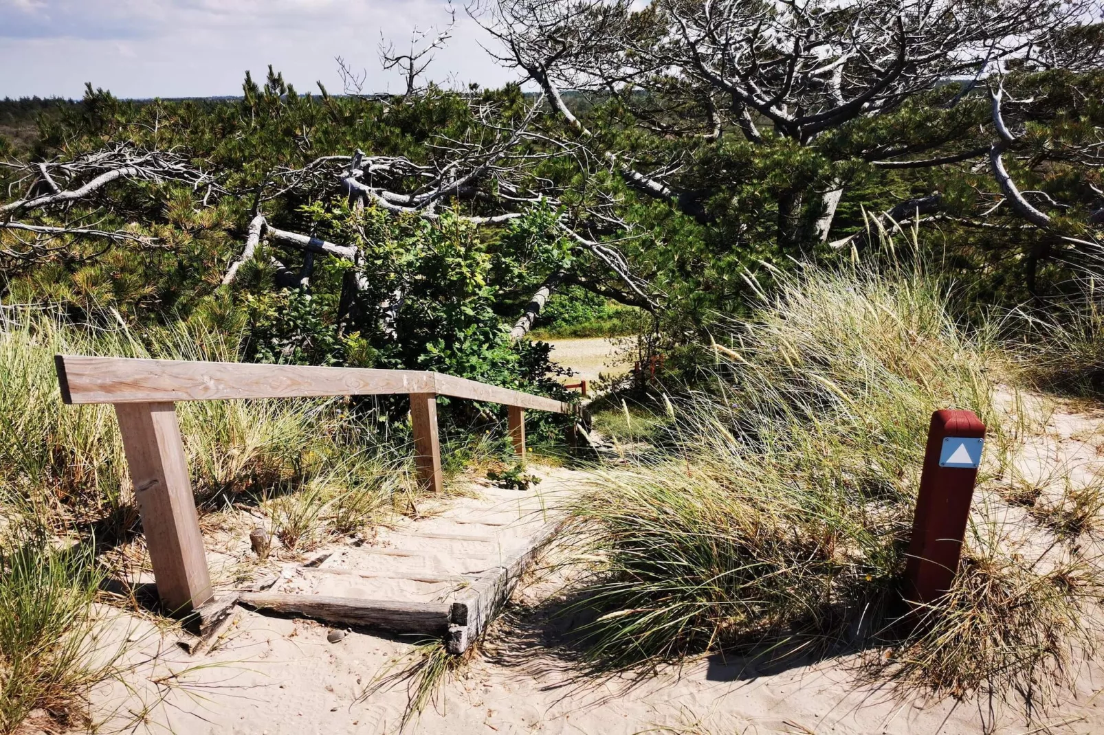 6 persoons vakantie huis in Ulfborg-By Traum-Niet-getagd