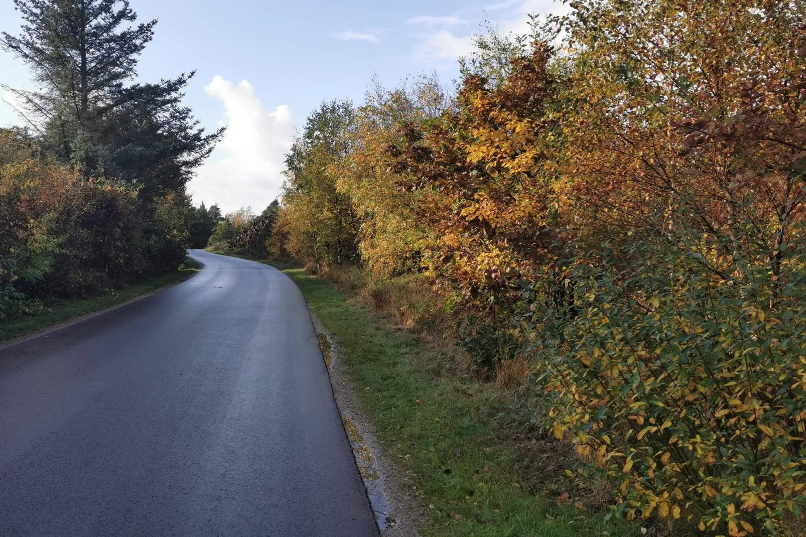 4 persoons vakantie huis in Henne-By Traum-Niet-getagd