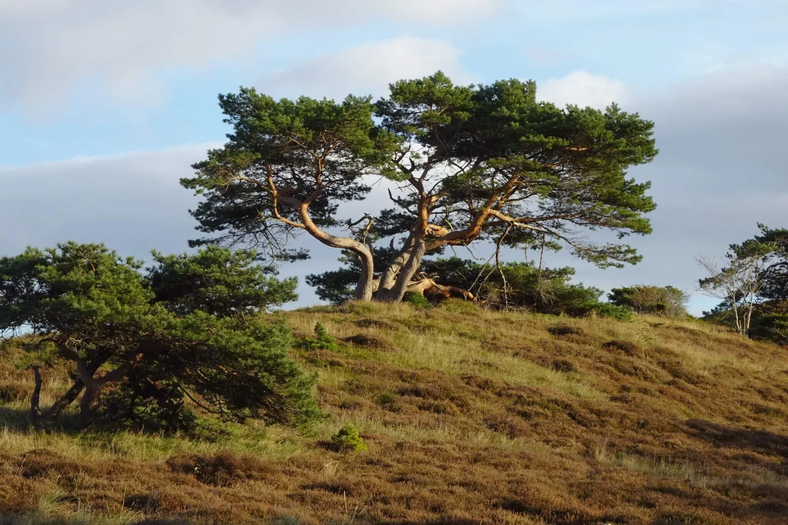 Luxe retraite met zwembad -- By Traum Ferienwohnungen-Waterzicht