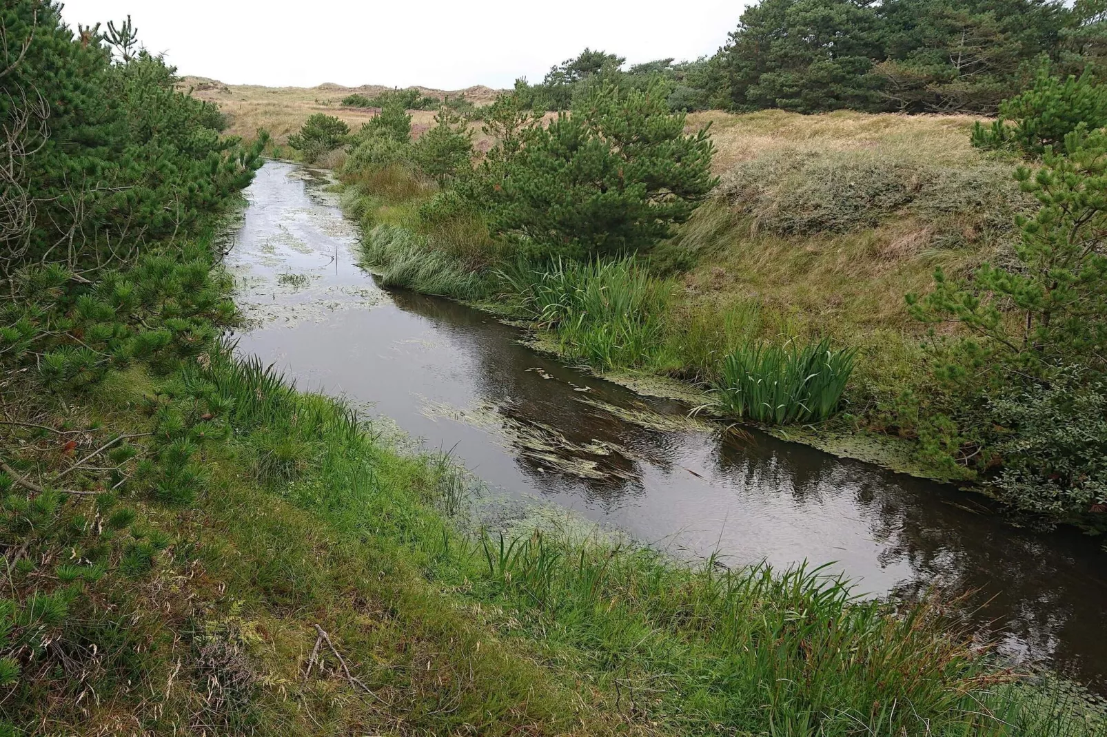 Afgelegen blokhut nabij Graerup -- By Traum Ferienwohnungen-Waterzicht