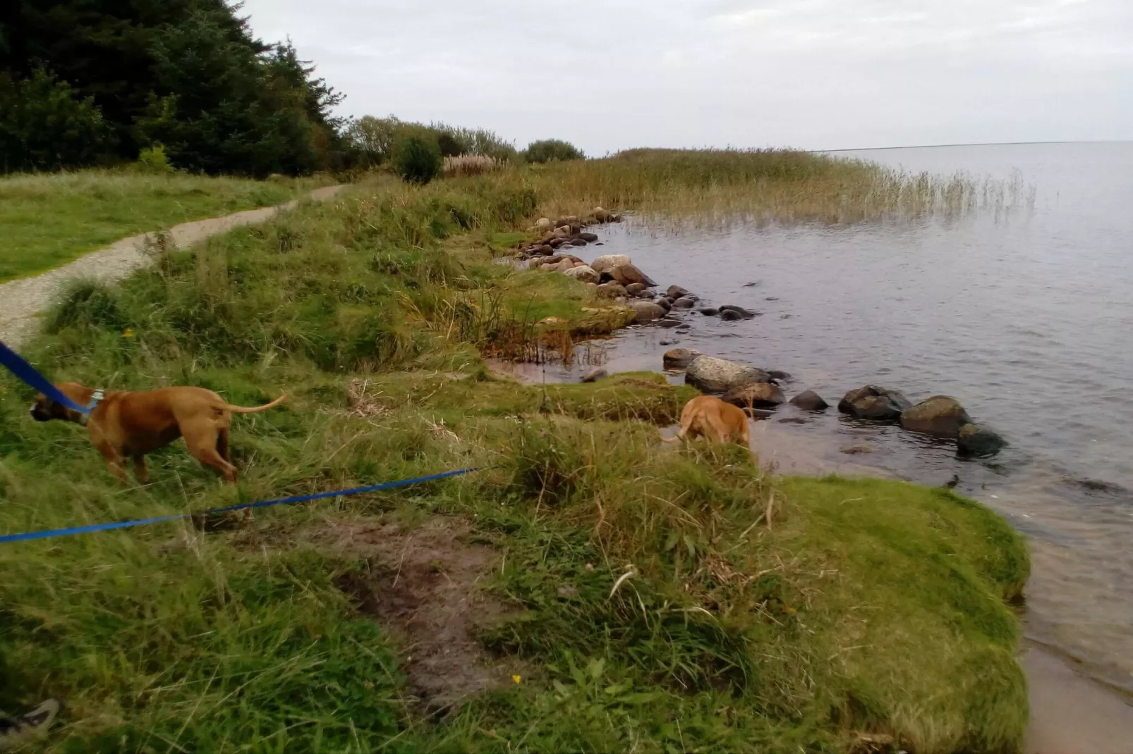 Afgelegen oase bij fjord -- By Traum Ferienwohnungen - Waterzicht