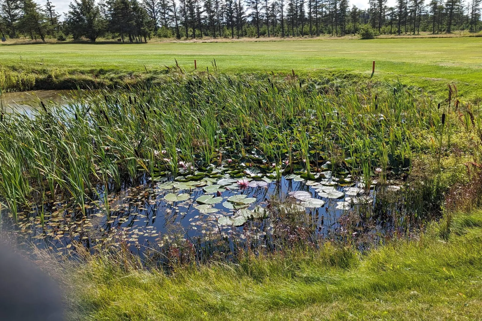 Moderne retraite in Lokken -- By Traum Ferienwohnungen-Waterzicht
