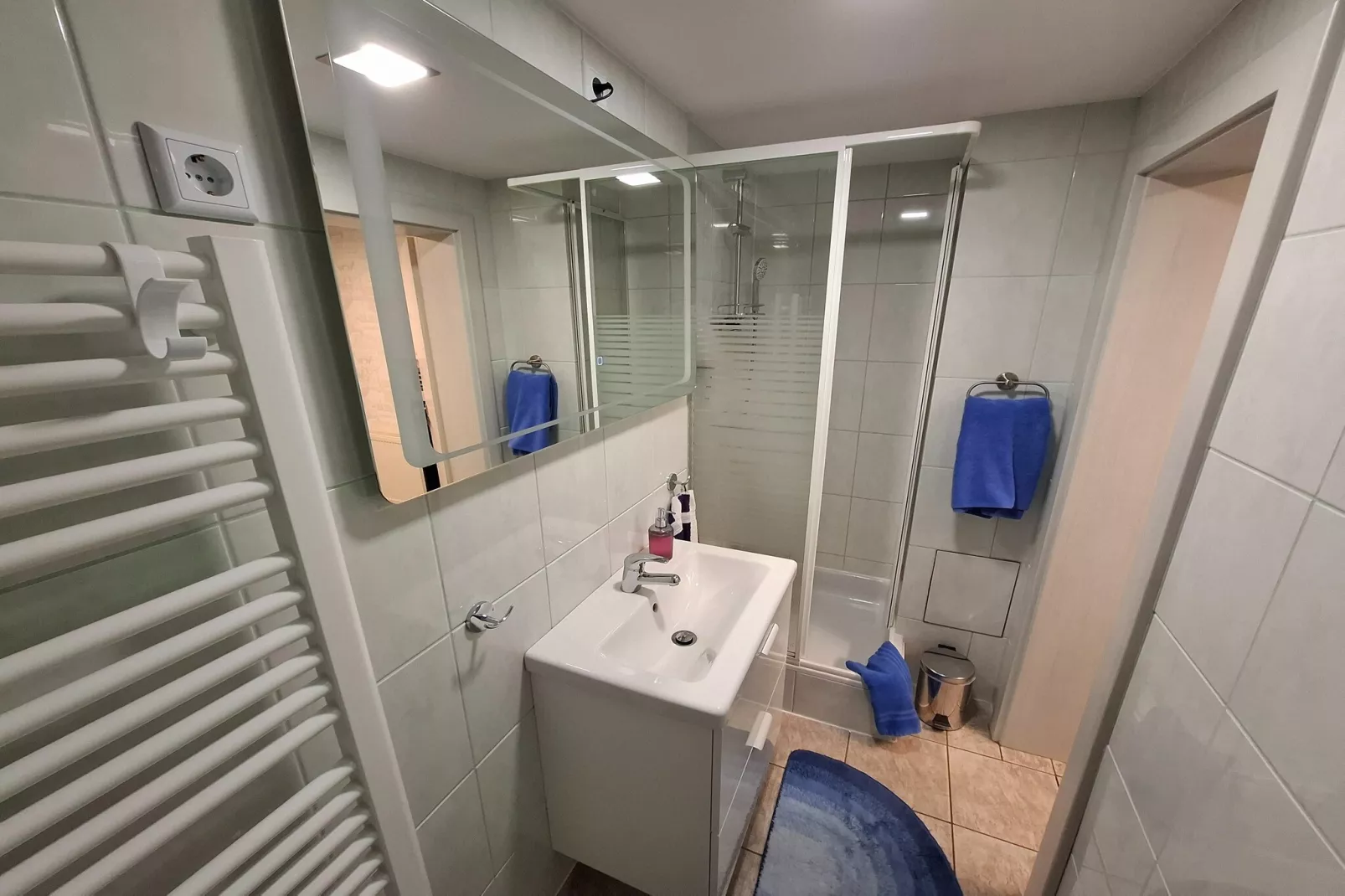 Ferienhaus im Thüringer Wald-Badkamer