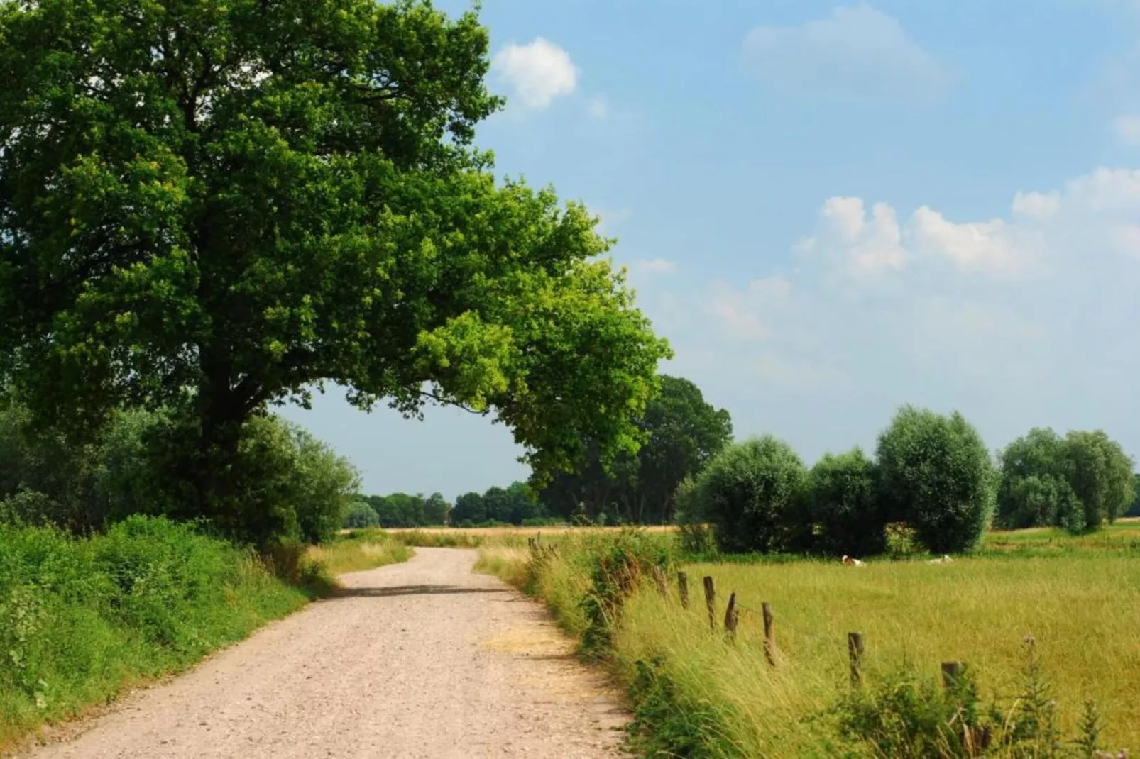 Vakantiepark De Lochemse Berg 1-Gebieden zomer 20km