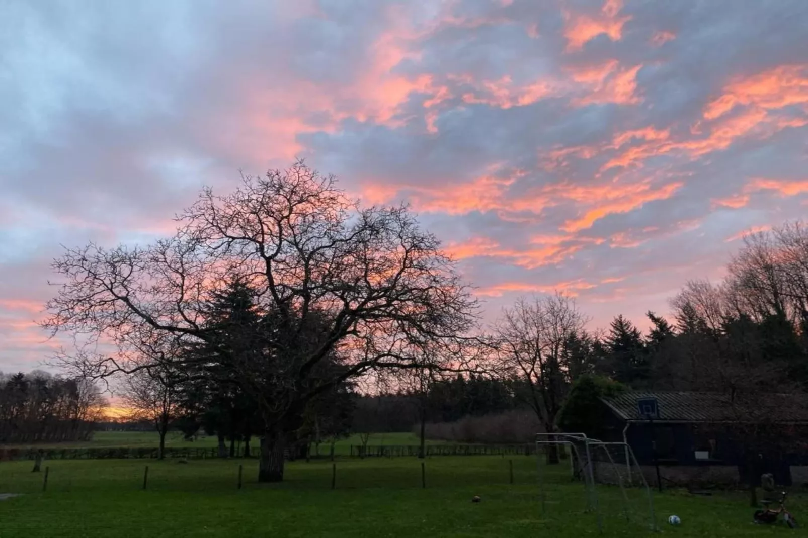 Vakantiepark De Lochemse Berg 2-Gebieden zomer 20km