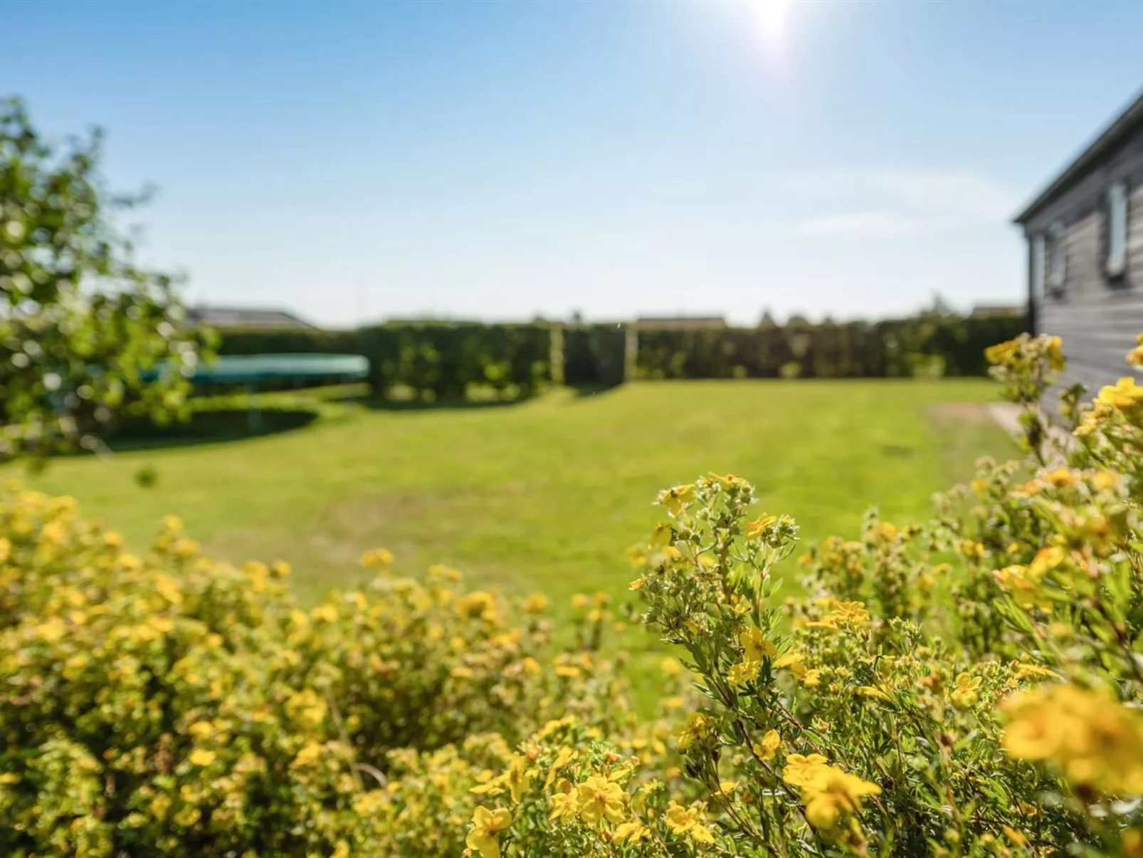 "Myrte" - 500m from the sea-Buiten