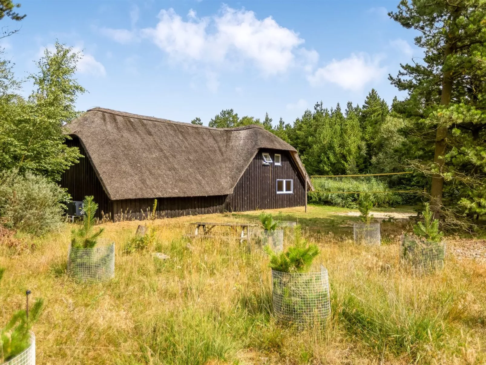 "Ellanor" - 1km from the sea-Buiten