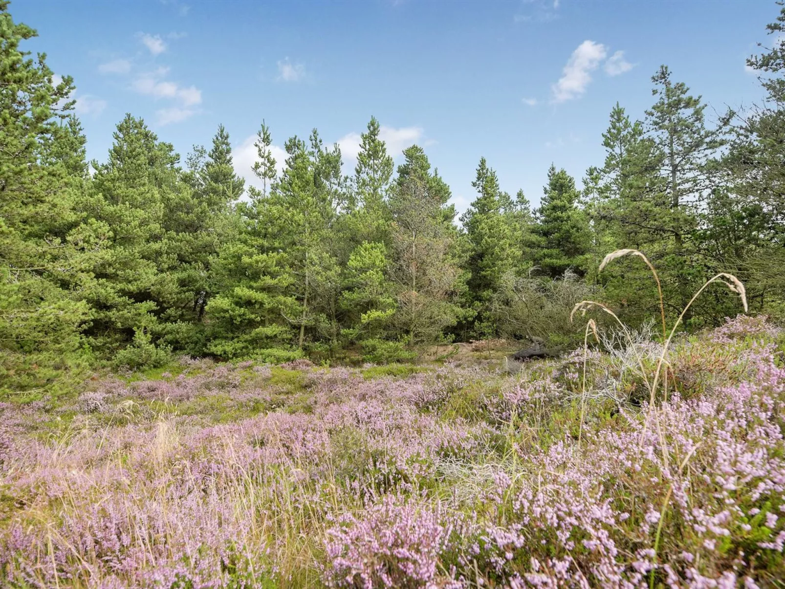 "Keke" - 2.5km from the sea-Buiten