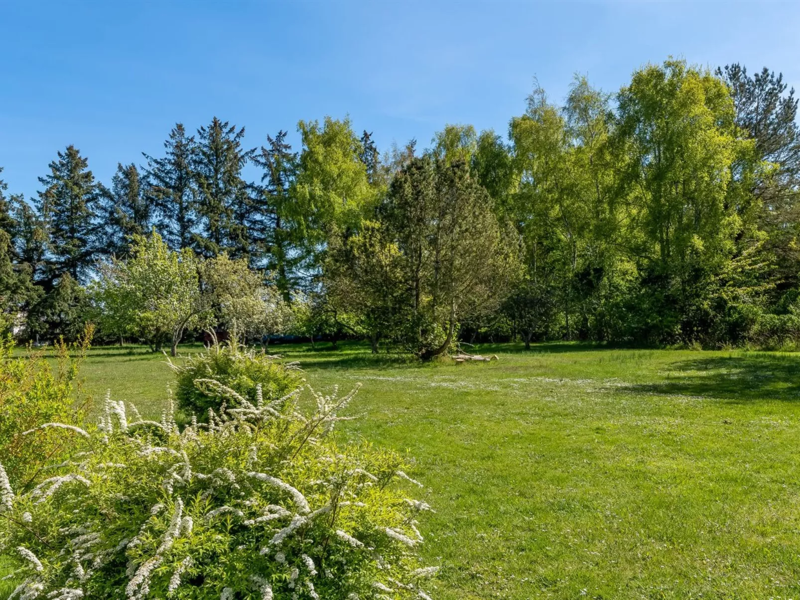 "Ognen" - 1.5km from the sea-Buiten