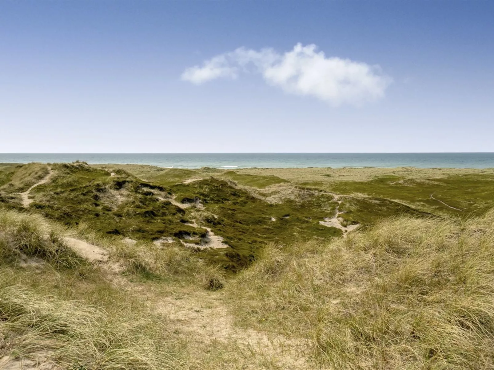 "Fabiana" - 350m from the sea-Buiten