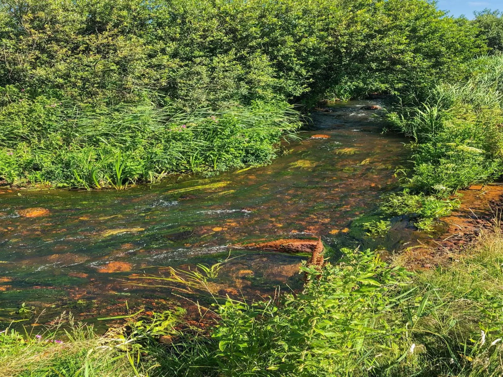 "Lökea" - 800m from the sea-Buiten