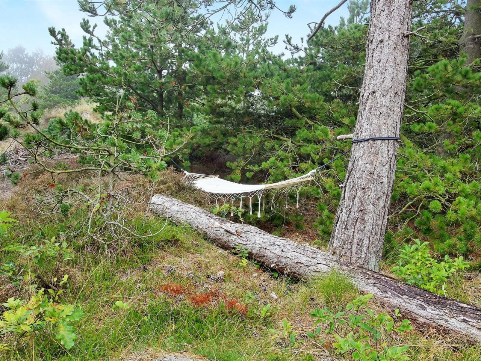 "Turkka" - 3.8km from the sea-Buiten