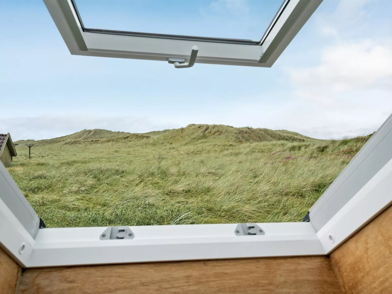 "Felina" -  from the sea-Buiten