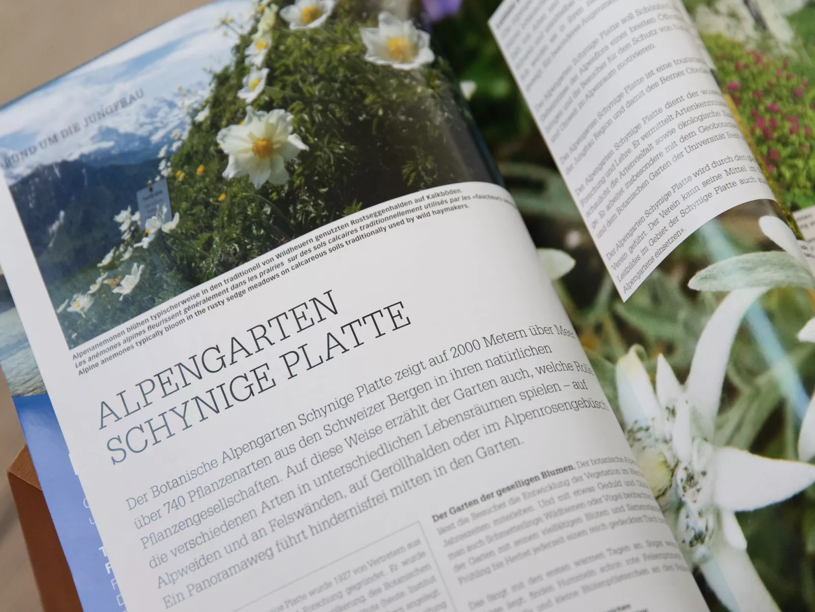 Breithorn Residence Apt.09-Binnen