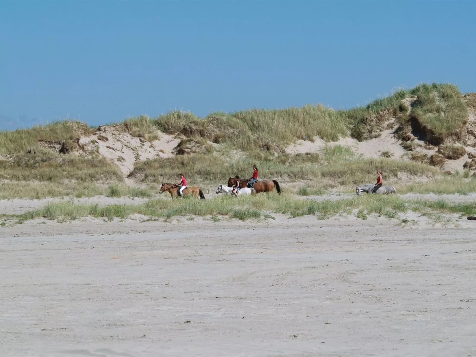 "Fiona" - 800m from the sea-Buiten