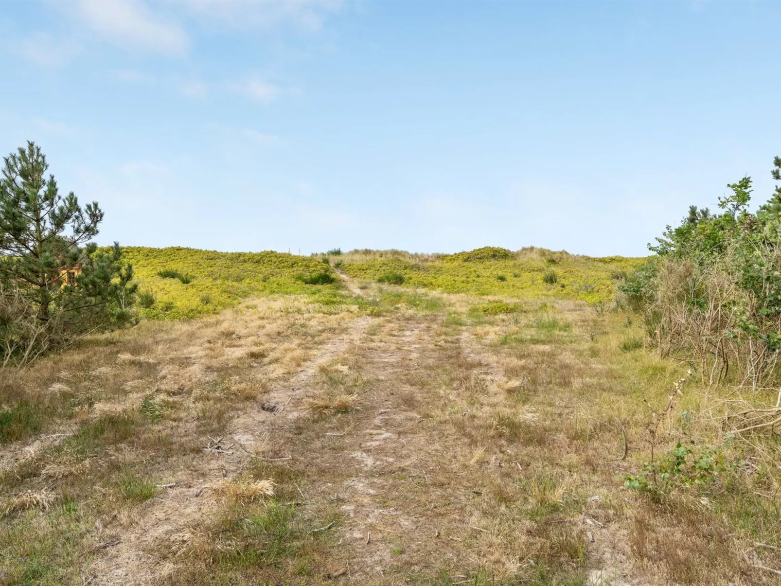 "Jorn" - 75m from the sea-Buiten