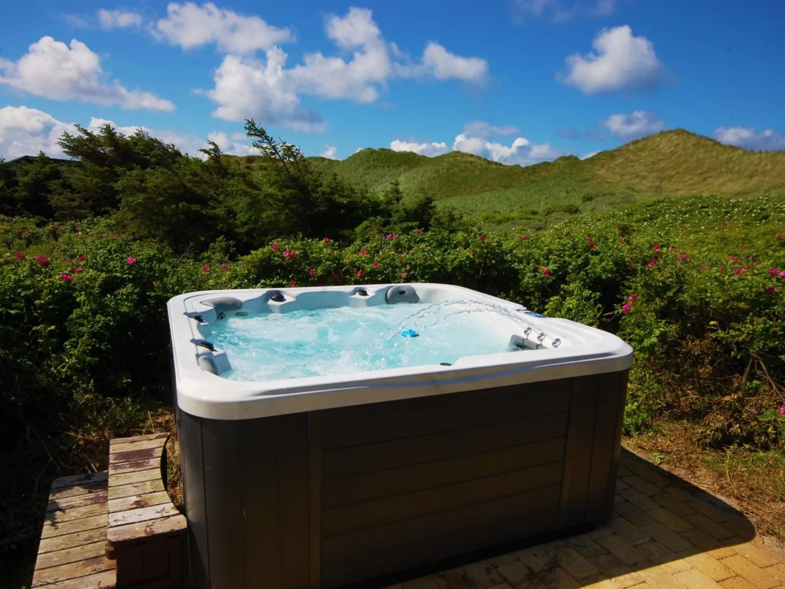 "Ejvind" - 100m from the sea-Binnen