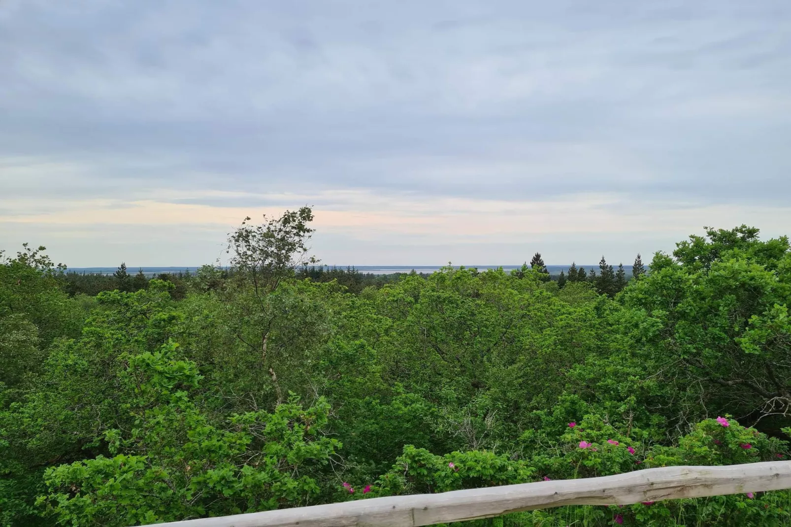 6 persoons vakantie huis in Henne-Niet-getagd