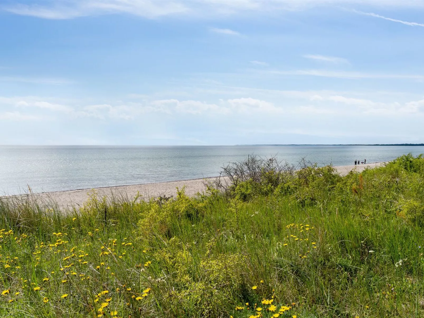 "Rother" - 50m from the sea-Buiten