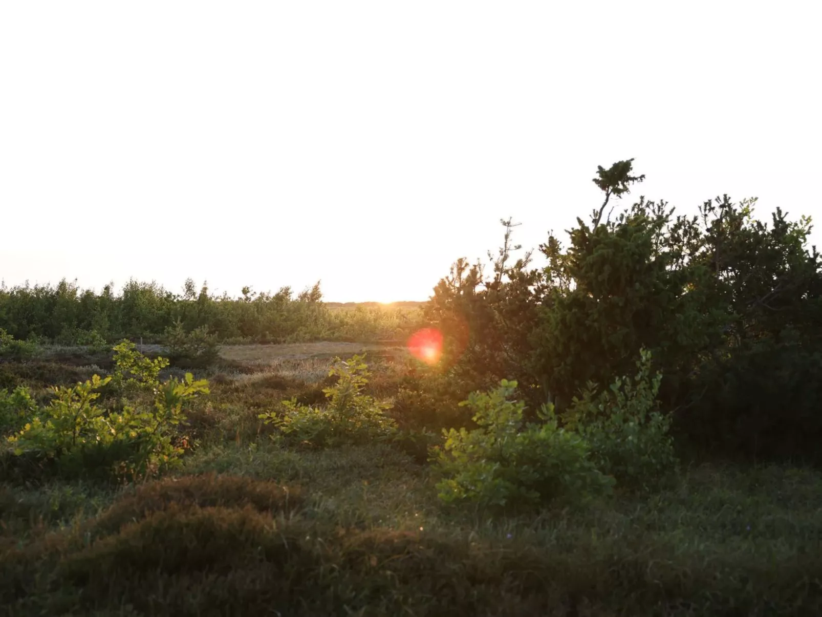 "Blakke" - 200m from the sea-Buiten