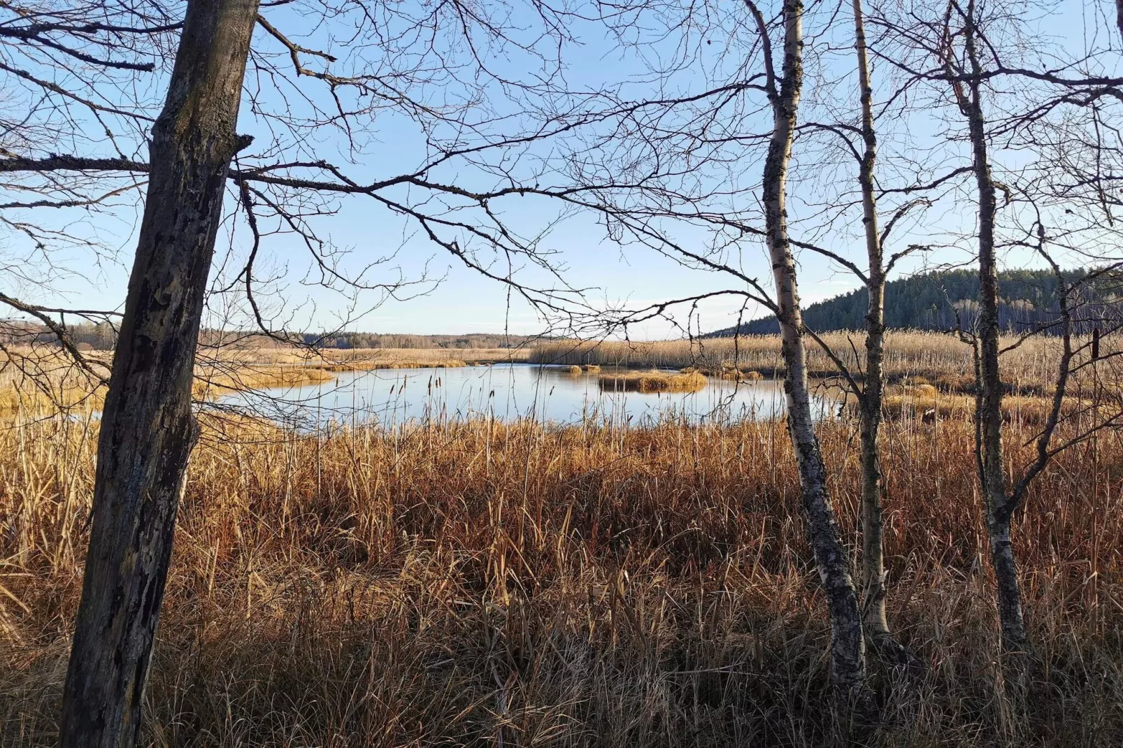 4 sterren vakantie huis in SÖDERALA-By Traum-Waterzicht
