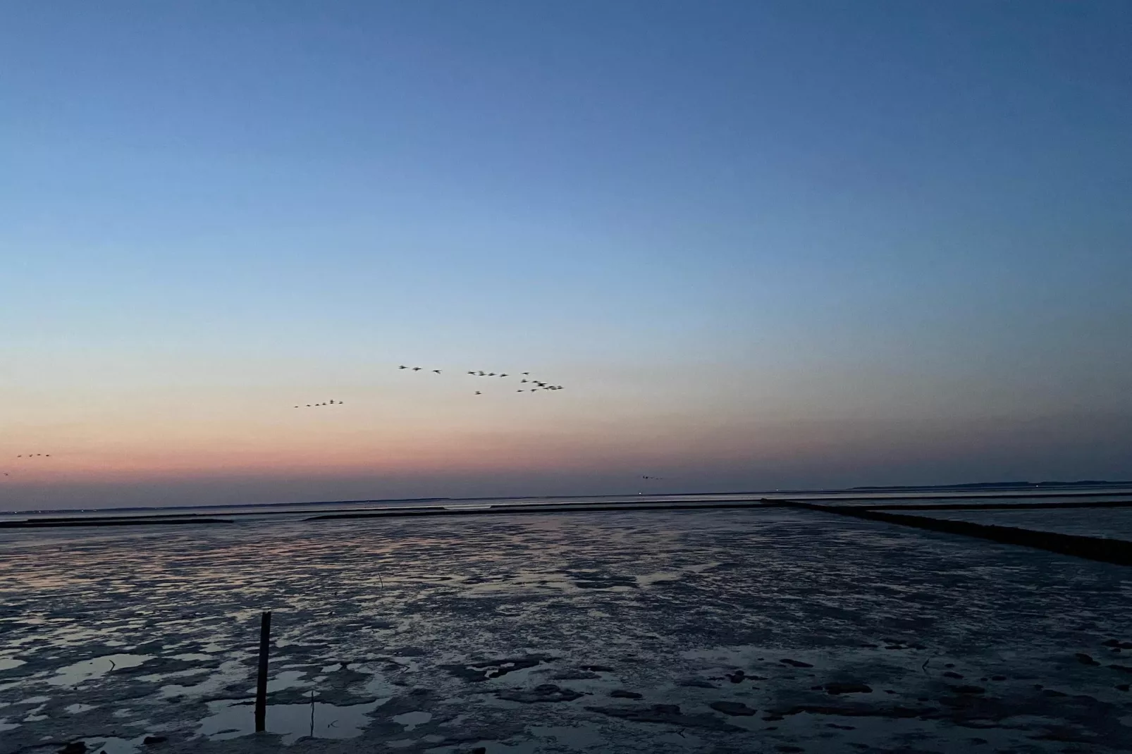 Ferienhaus Seeschwalbe-Gebieden zomer 5km