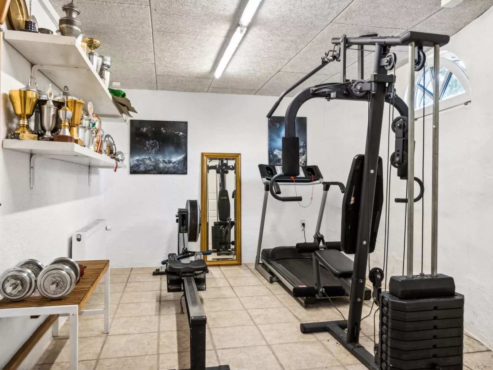 "Mikkeline" - 575m to the fjord-Binnen