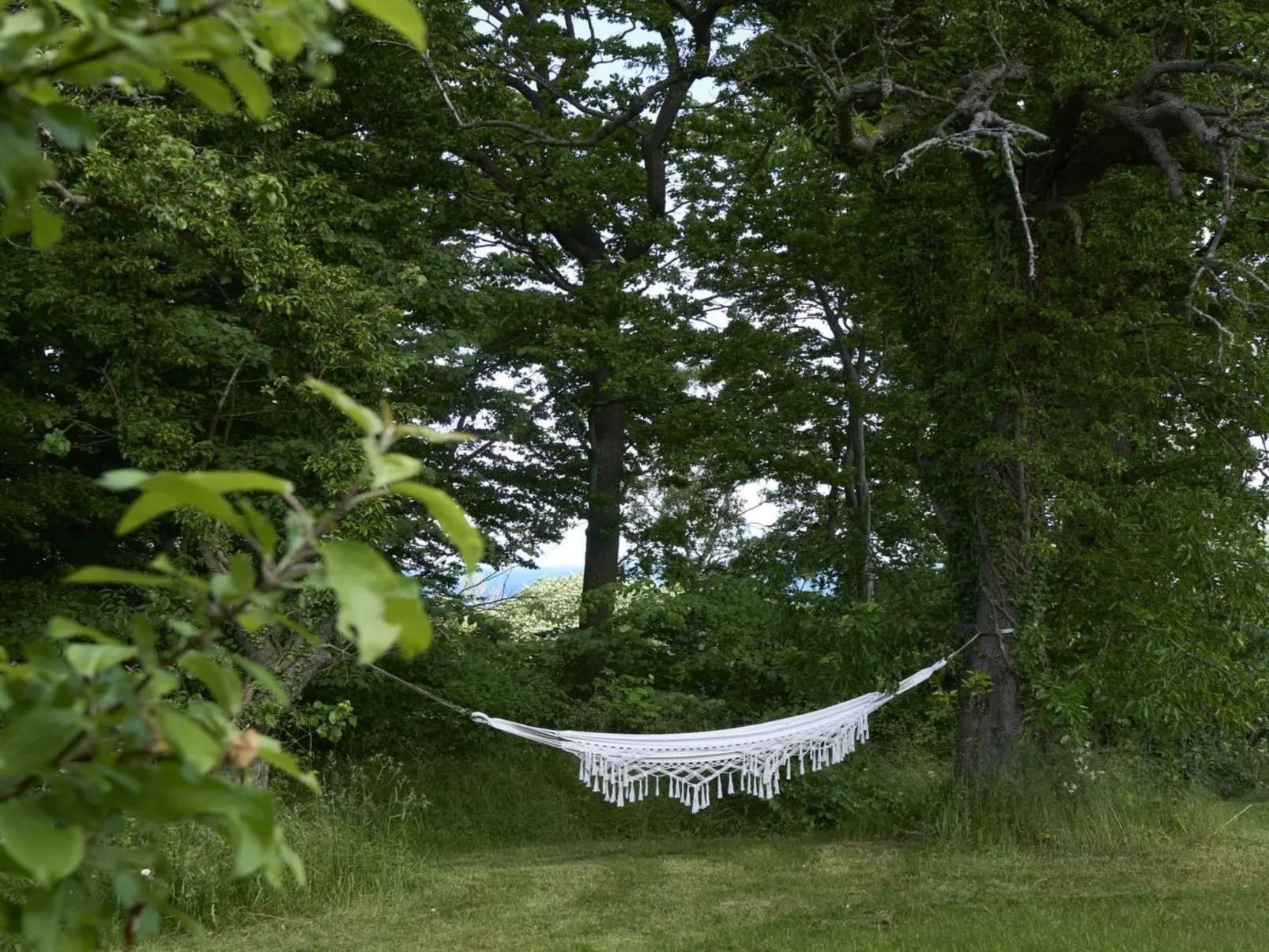 "Merrit" - 250m from the sea-Buiten