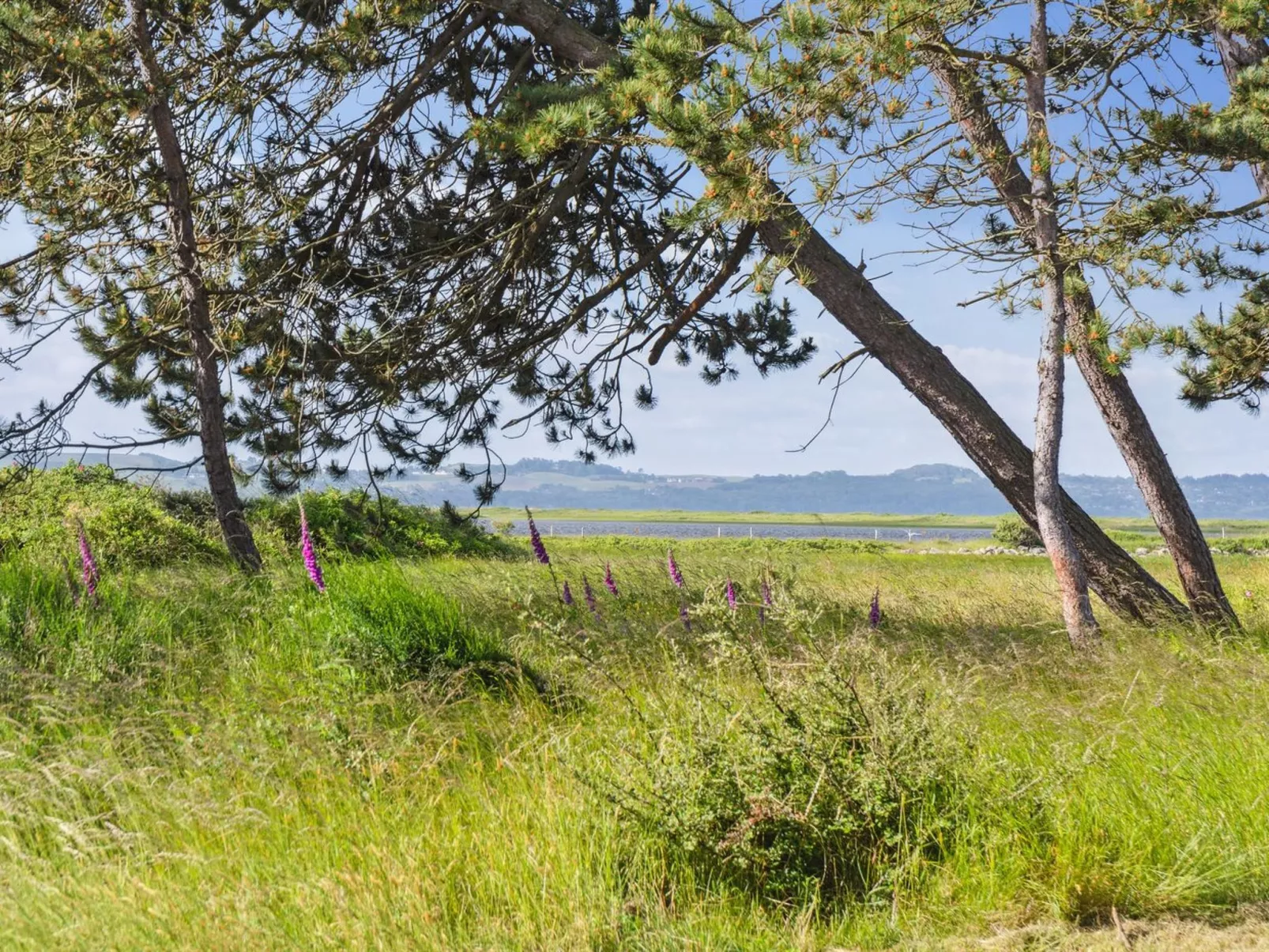 "Felis" - 575m from the sea-Buiten