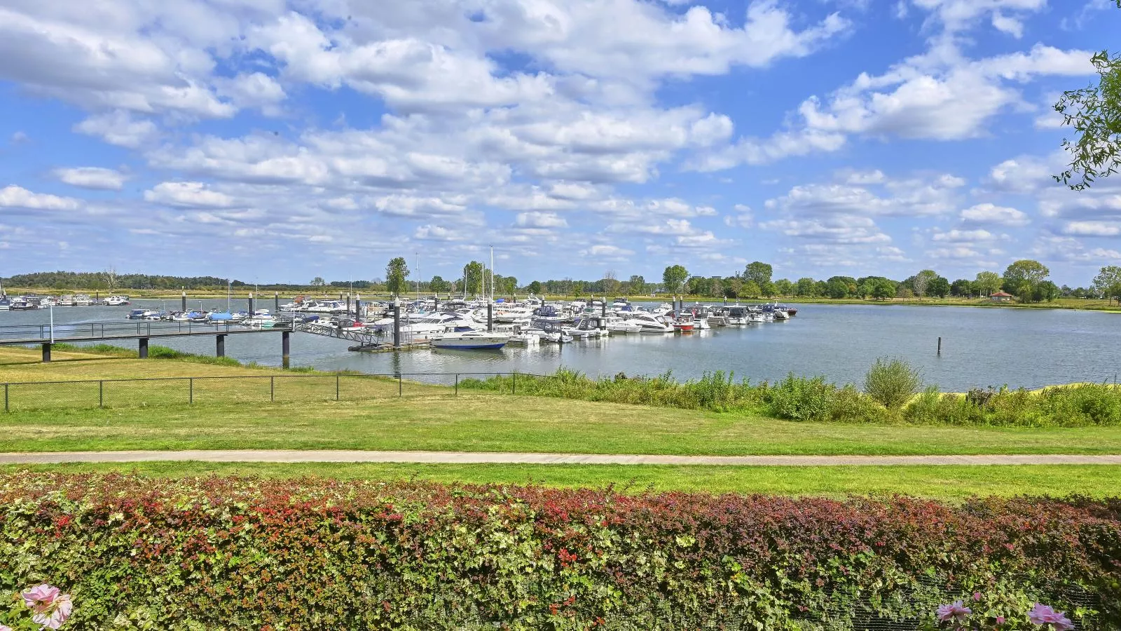 Rose Garden-Tuinen zomer