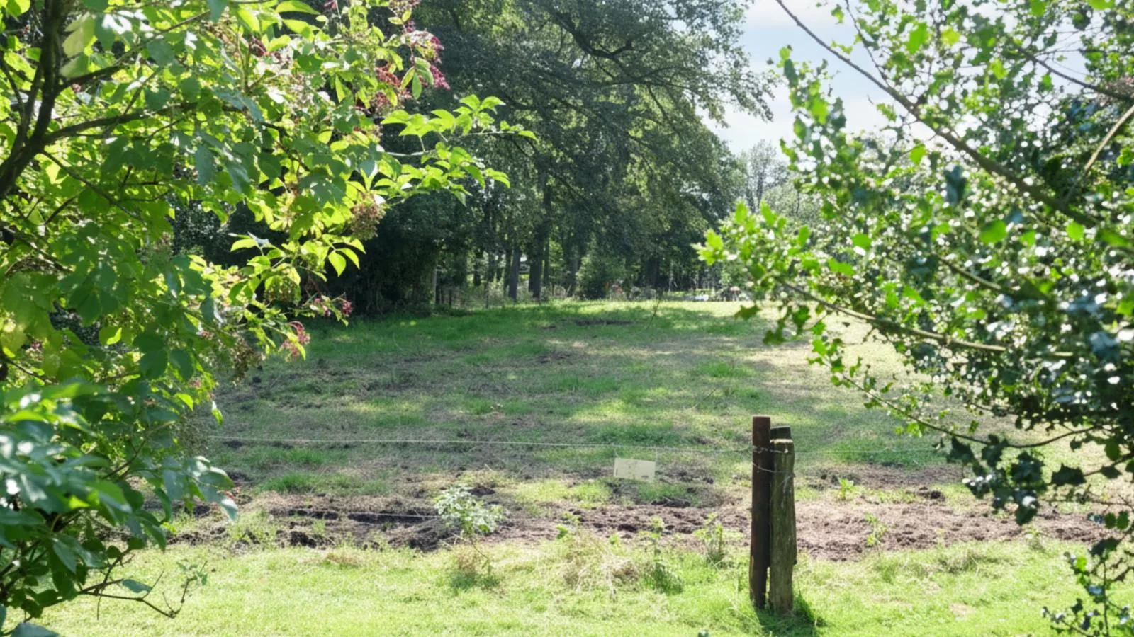 Wellnesshuisje Kalheupink-Gebieden zomer 1km
