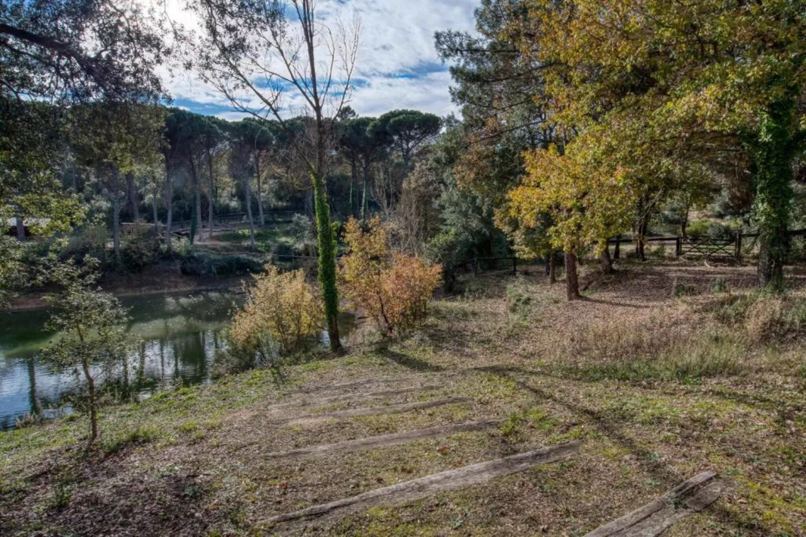 Cora-Gebieden zomer 5km