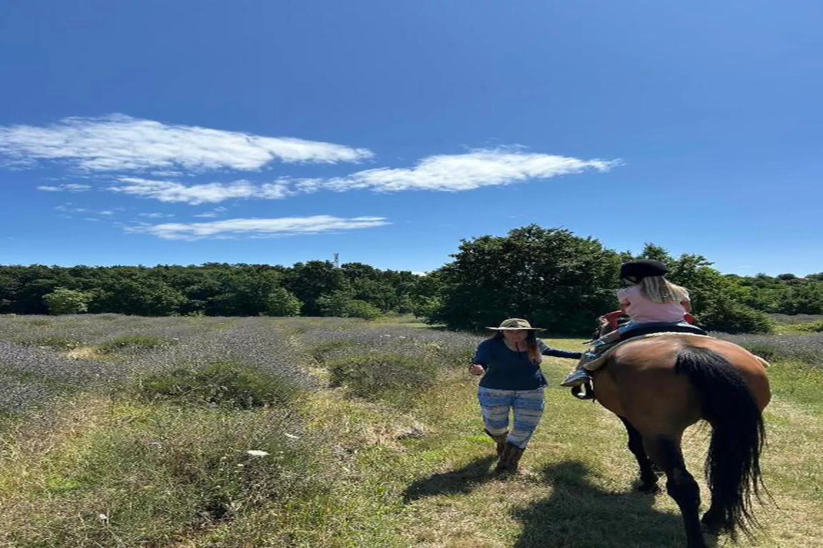 Apartment Mirna with Pool and Lovely Garden-Gebieden zomer 20km