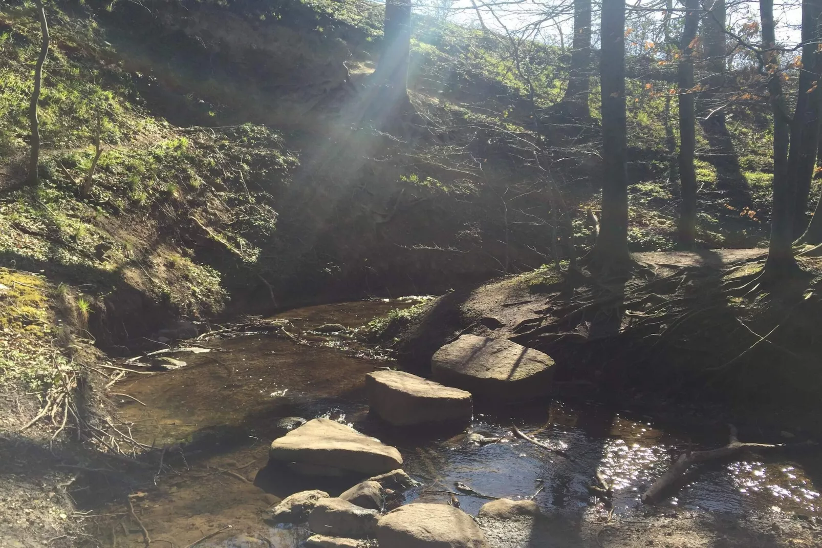 Mooi huisje vlakbij het strand-Waterzicht