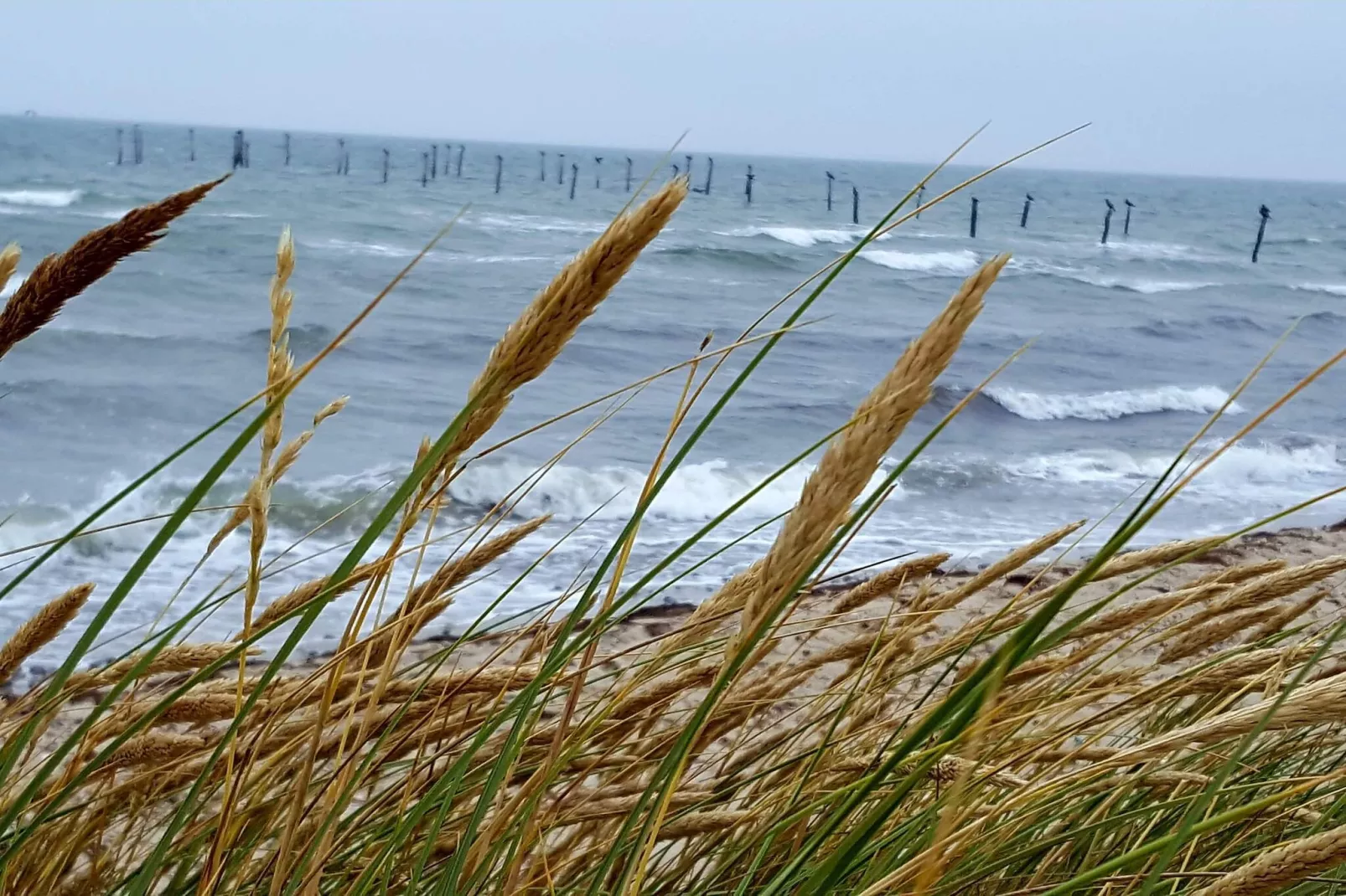 8 Personen vakantie huis in Nakskov-Waterzicht