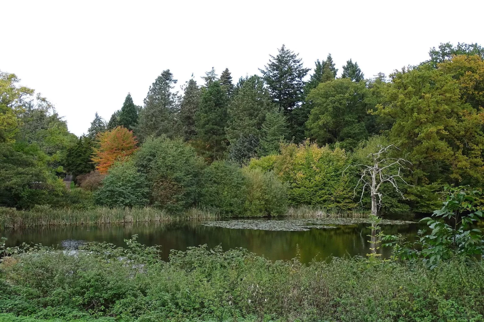 4 sterren vakantie huis in Vedbæk-Waterzicht