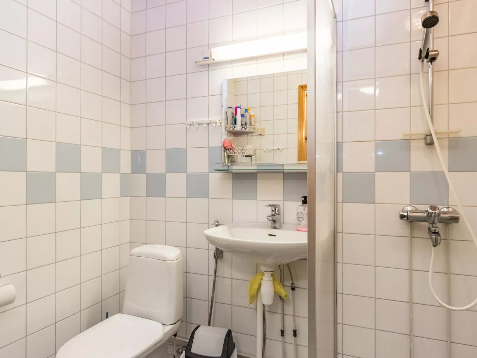 Paljakan pirtit a1-Binnen