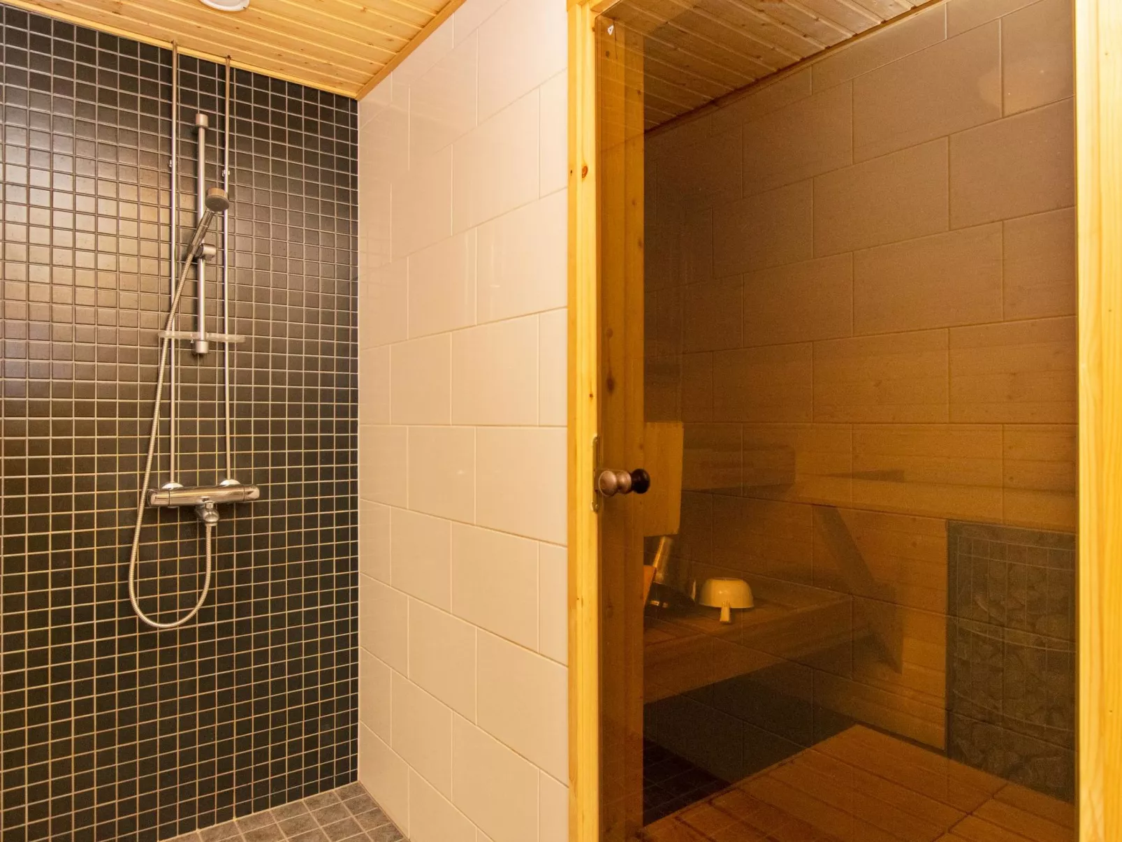 Paljakan pirtit a3-Binnen