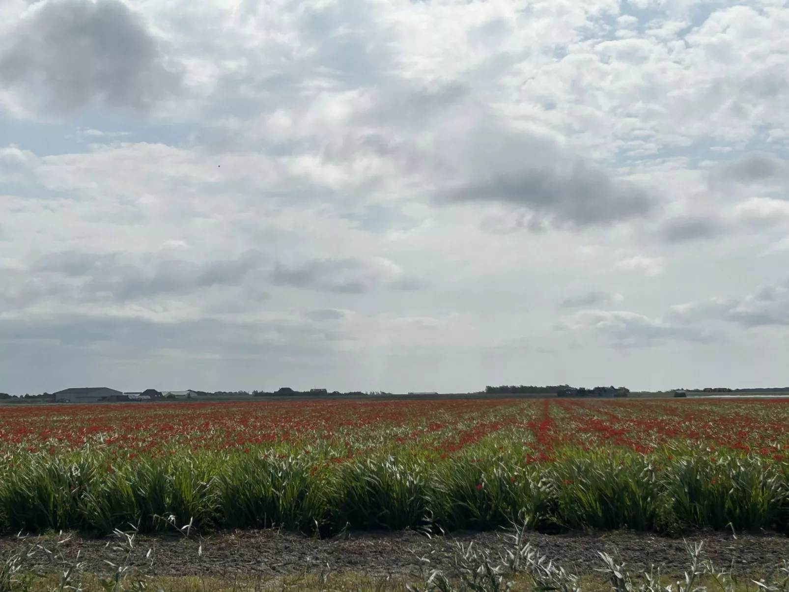 Rusthoeve 28-Buiten