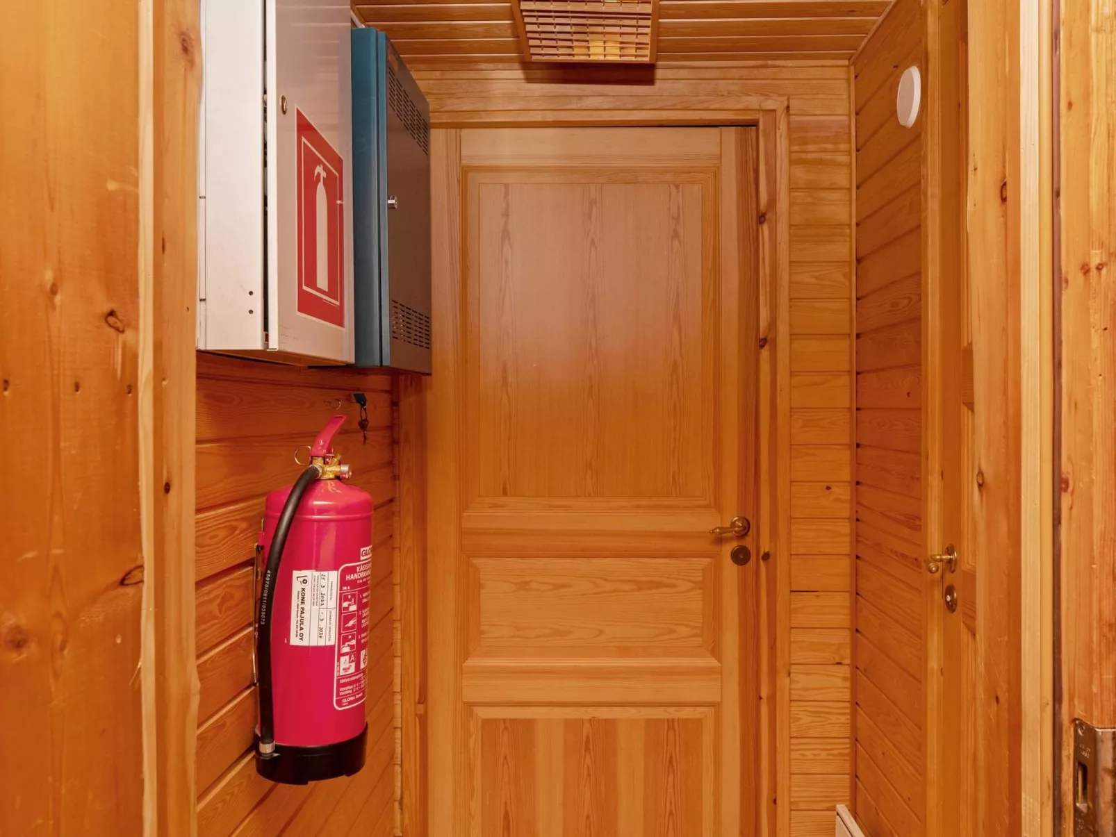 Villihanhi 7b-Binnen