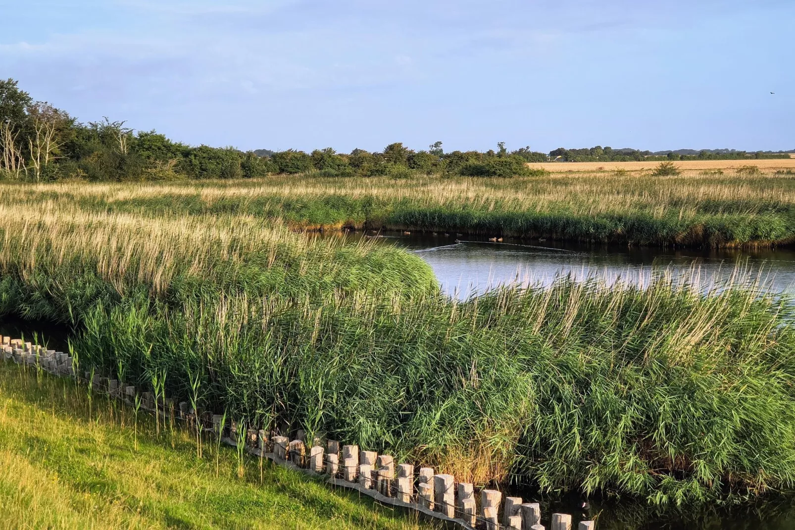 FeWo Lieblingsorth P4-Gebieden zomer 5km