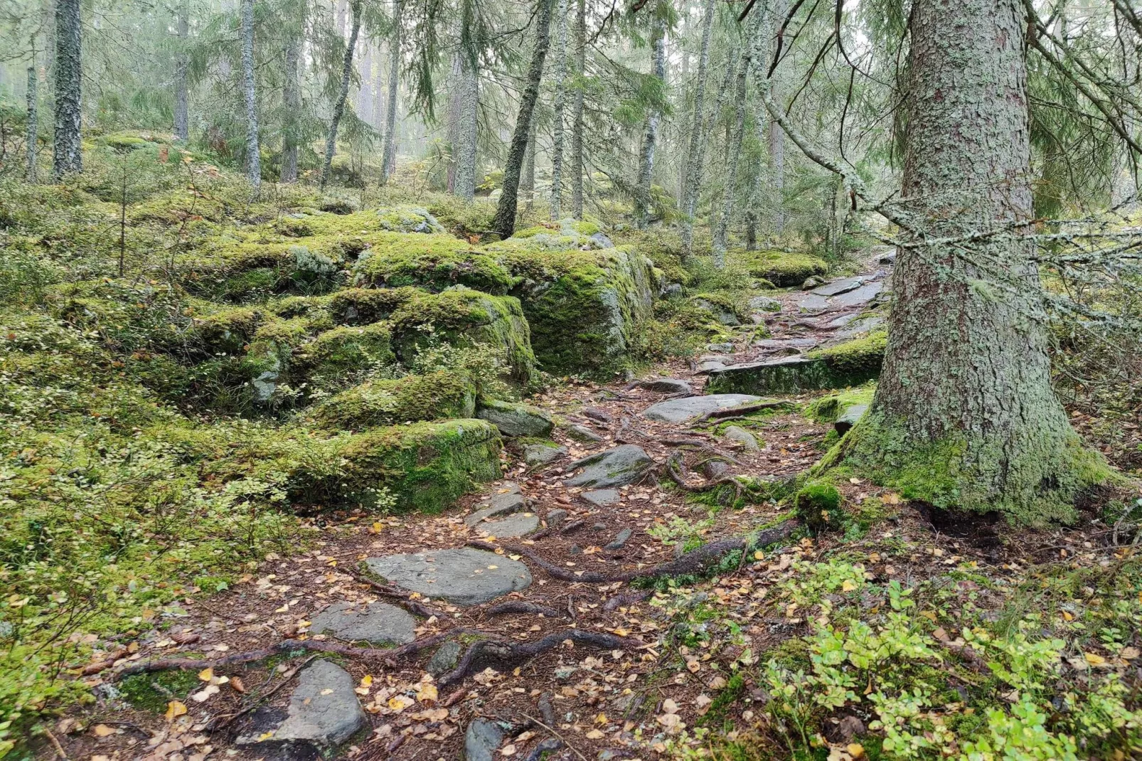 4 sterren vakantie huis in KIL-Niet-getagd