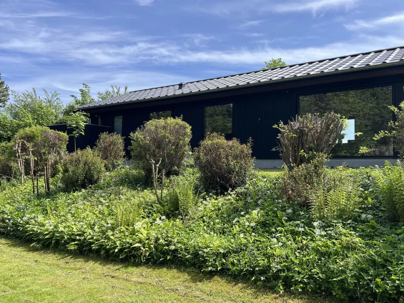 "Radica" - 400m from the sea-Buiten